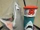 2025 Jaws 50th Anniversary Shark Popcorn Bucket & Cup Combo NEW 1975 Blockbuster