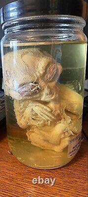 Baby Alien in a jar