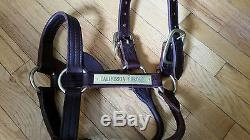 California Chrome Authentic Worn Halter With Coa From Taylor Made Old Friend