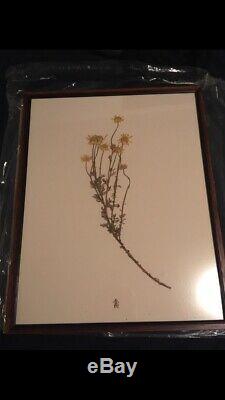 Girl with the Dragon Tattoo Rare Authitic Screen Used Flower Prop