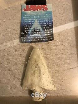 JAWS 1975! Bruces Tooth! Movie Prop Original Piece