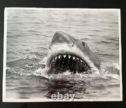 JAWS movie memorabilia & ephemera from Artist who worked on the film