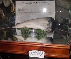 Jurassic World Dinosaur Tooth Movie Prop with Certificate of Authenticity