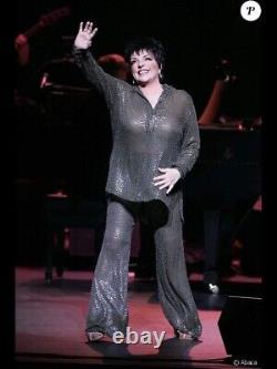 Liza Minnelli Original Concert Costume Beaded Gown