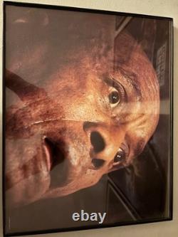 Original 1980 The Shining Lobby Card Full Set 11x14 MINT CONDITION