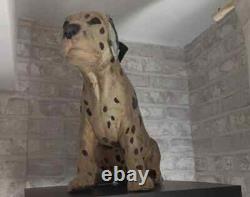 Original Prop Stand-in Puppy from 102 Dalmatians (2000)
