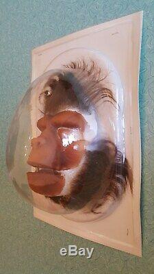 PLANET OF THE APES Prop Original unused Roddy McDowall APPLIANCE + HAIRPIECES