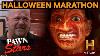 Pawn Stars Scariest Items Of All Time Epic Halloween Marathon