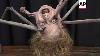 Prop Store In Los Angeles Auctions Iconic Hollywood Memorabilia From Movies Old And New