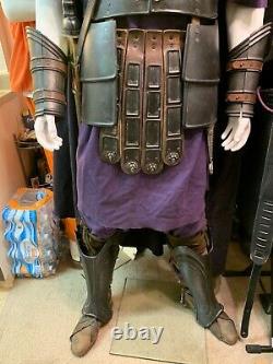 Screen used Gladiator Praetorian Guard Complete With Hero Sword and Shield COA