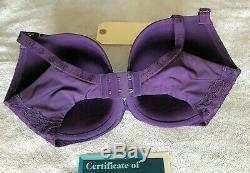 Sofia Vergara Celebrity Worn Owned Purple Rachel Bra With Event Craze COA #00241