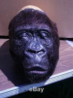 Stan Winston Studios Amy Gorilla Congo silicone head bust prop
