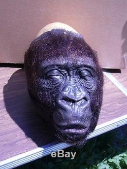 Stan Winston Studios Amy Gorilla Congo silicone head bust prop