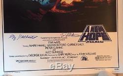 Star Wars A New Hope 1993 Original Movie Poster Greg & Tim Hildebrandt Signed