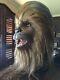 Star Wars Chewbacca Prop Life Size 11 Head Bust ULTRA RARE