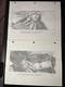 Star wars storyboards Empire Strikes Back movie prop HOTH TAUNTAUN OPENING SCENE