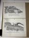 Star wars storyboards Empire Strikes Back movie props HOTH LUKE TAUNTAUN Art X1