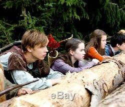 The Chronicles of Narnia King Peter William Moseley Worn Prop Hero Costume Lucy
