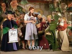 The Wizard of Oz Movie Film Props Memorabilia Collectible Movie? Hollywood A1