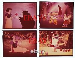 Walt Disney Snow White vintage original 4x5 photo transparency Lot Excellent